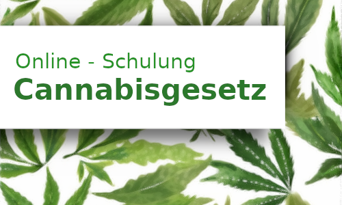 Intro Bild Online-Schulungen: Cannabis am Arbeitsplatz